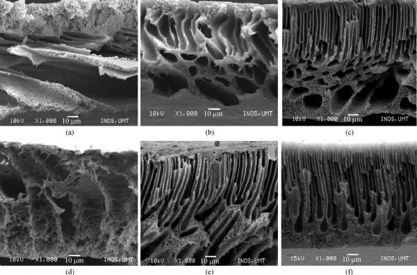 Preparation and characterization of asymmetric ultrafiltration 