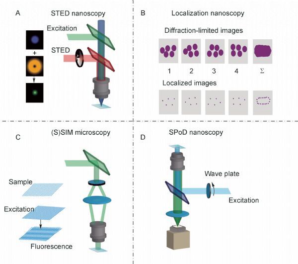 Two-color nanoscopy of organelles for extended times with HIDE