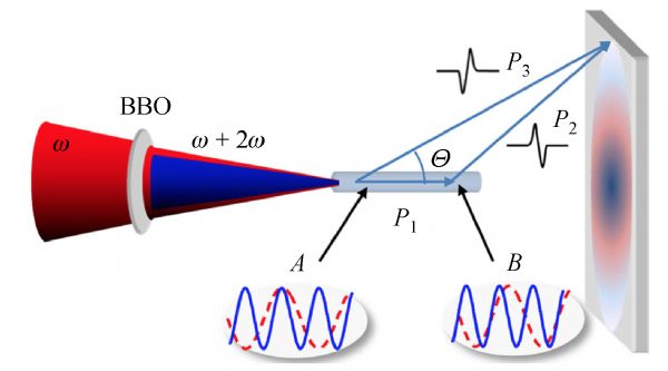 Terahertz wave generation from ring-Airy beam induced plasmas and 