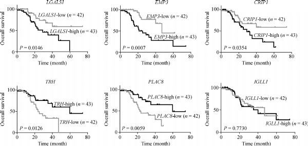 Triple Negative Breast Cancer 5-Year Survival Rate