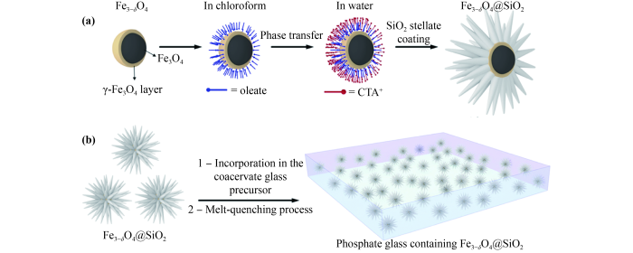 Nanoparticles embedded into glass matrices: glass nanocomposites