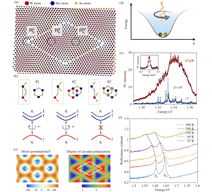 Excitonic devices based on two-dimensional transition metal 