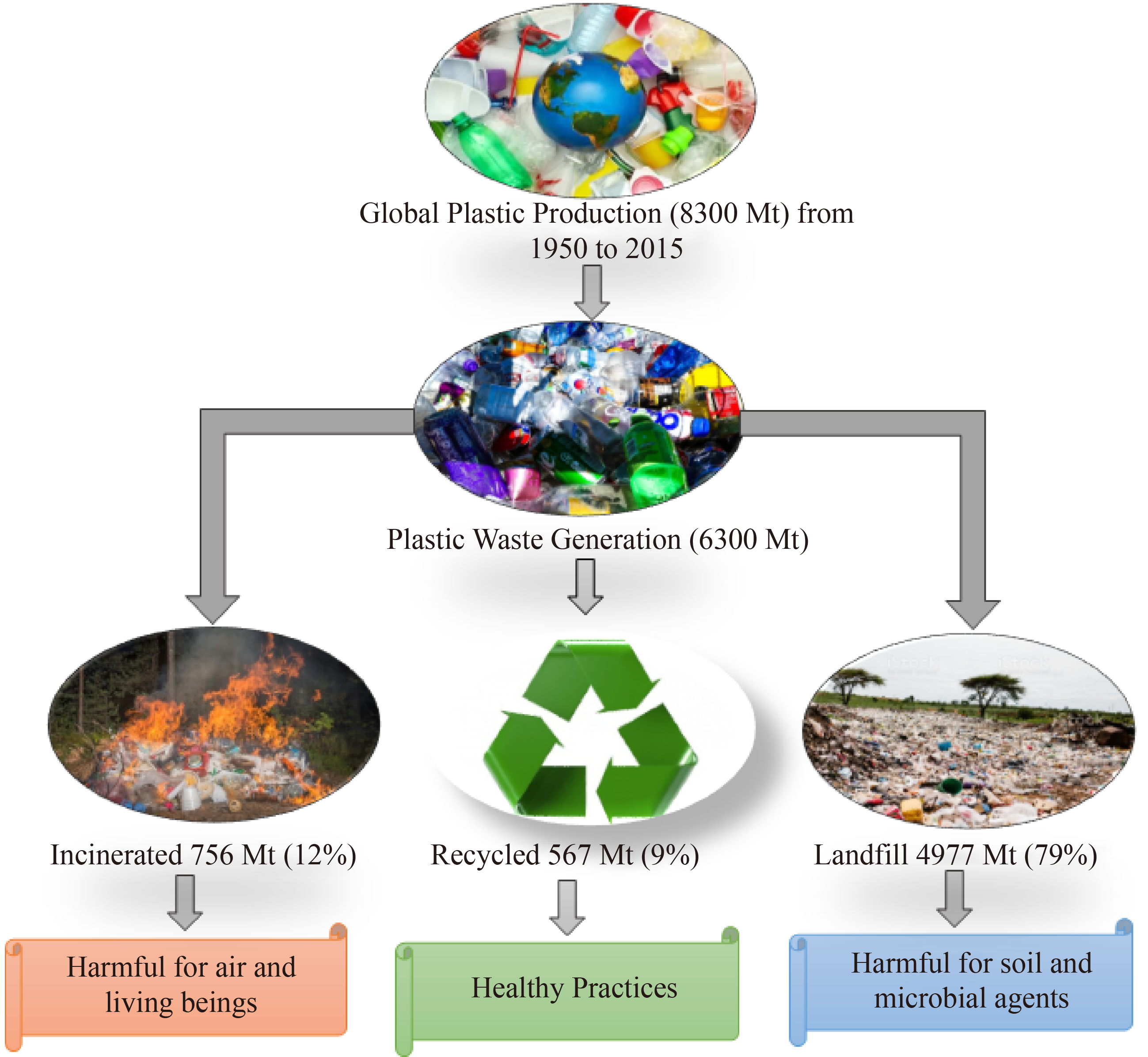 Current scenario and challenges of plastic pollution in Bangladesh: a focus  on farmlands and terrestrial ecosystems